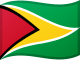 Guyana flag